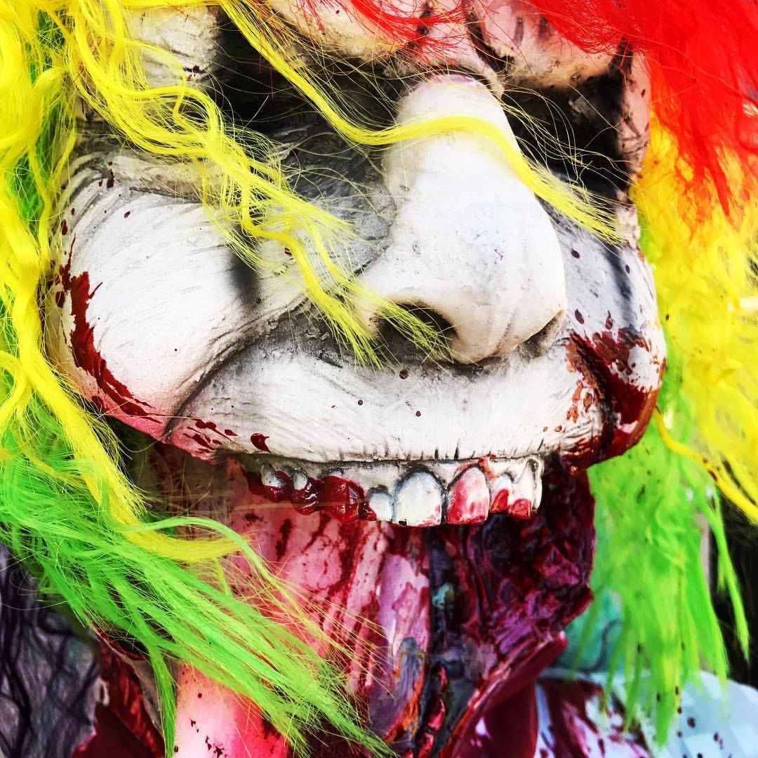 Friday, October 6 — Freak out in the corn fields of Buckelew Farm